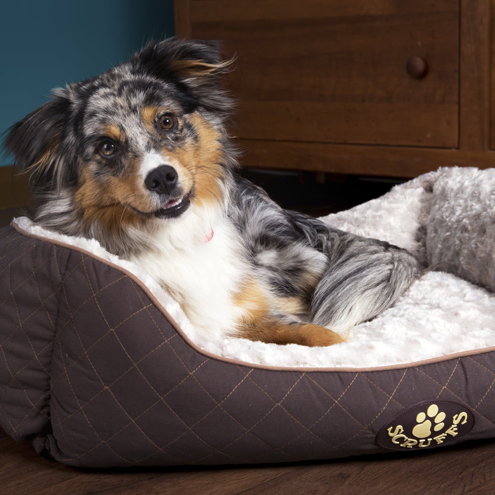 Wilton Box Dog Bed (in Blue, Grey, Black, Brown) by Scruffs-11