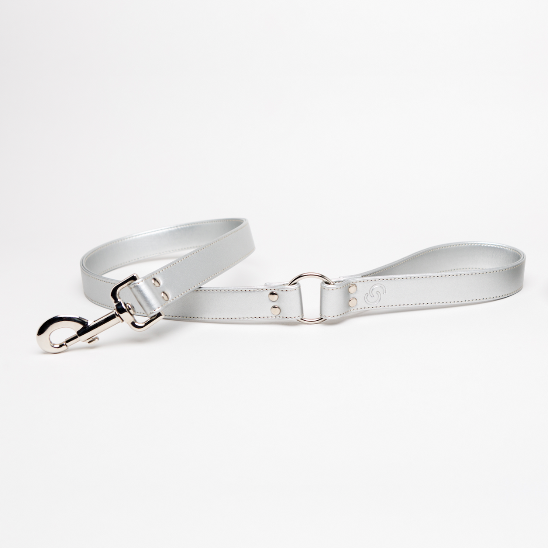 Silver Dog Lead (Vegan Apple Leather) – by Skylos Collective-0