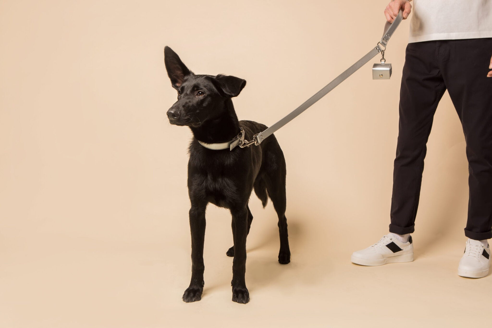 Silver Dog Lead (Vegan Apple Leather) – by Skylos Collective-3