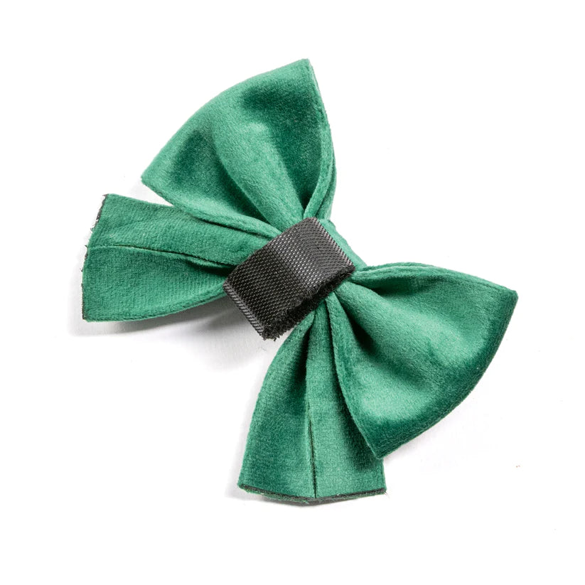 Emerald Green Collection - Dog Harness, Collar, Bow Tie, Lead and Poop Bag Holder by Fluffy Tailers-7