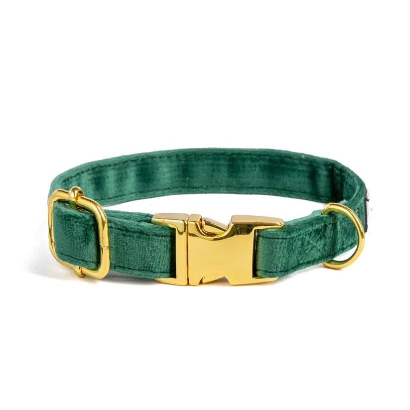 Emerald Green Collection - Dog Harness, Collar, Bow Tie, Lead and Poop Bag Holder by Fluffy Tailers-6