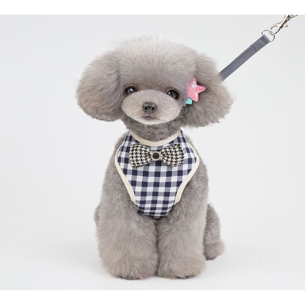 Blue Bow Dog Harness (With Leash)-0