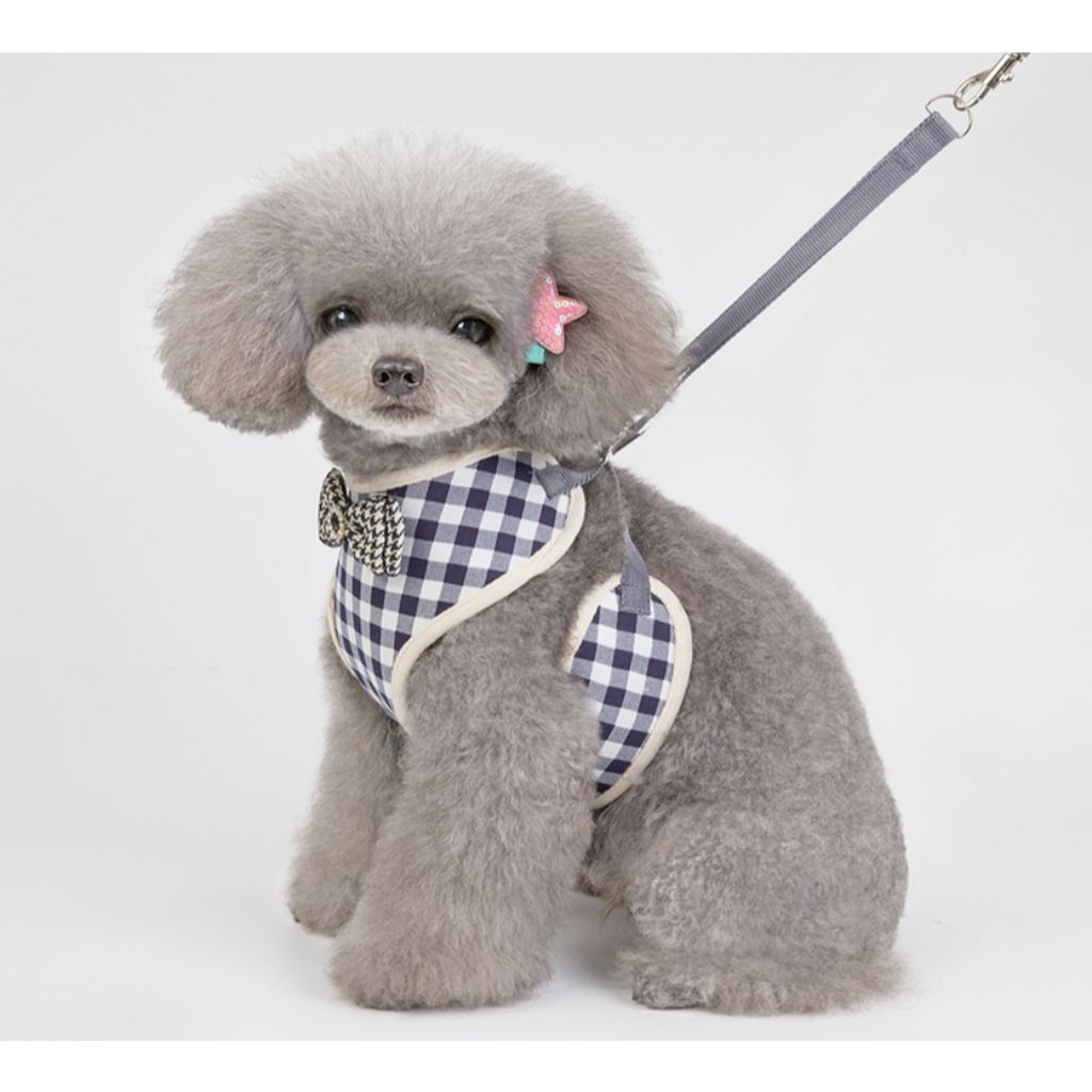 Blue Bow Dog Harness (With Leash)-1